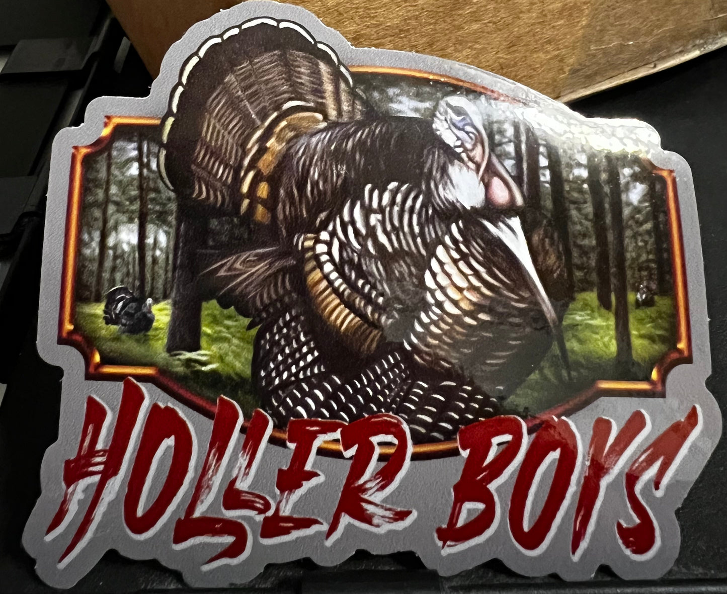 Holler Boys Turkey